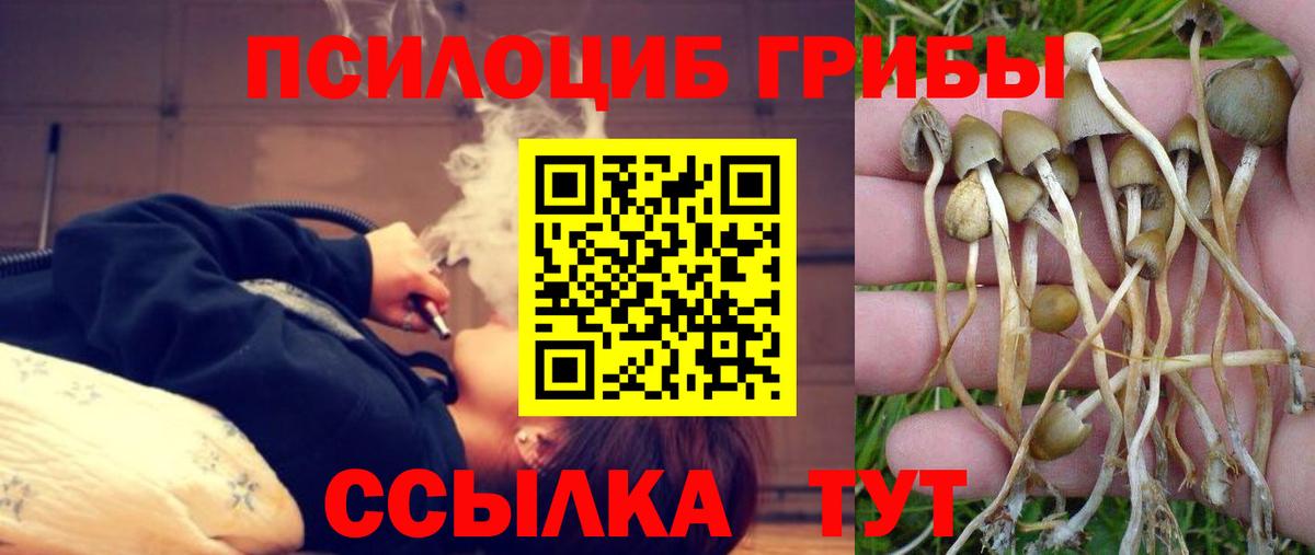 Псилоцибиновые грибы Psilocybine cubensis  Вход с VPN  Кропоткин  Псилоцибиновые грибы Psilocybine cubensis 